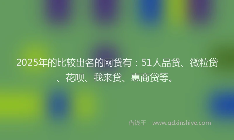 2025年的比较出名的网贷有：51人品贷、微粒贷、花呗、我来贷、惠商贷等。