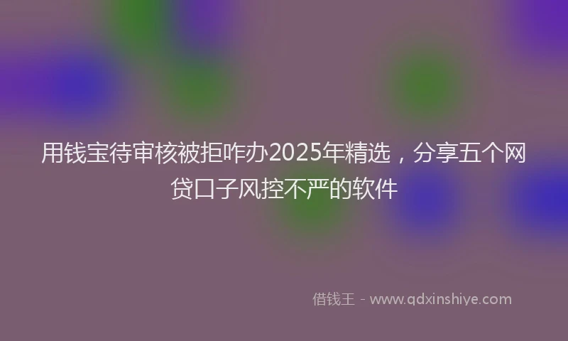 用钱宝待审核被拒咋办2025年精选，分享五个网贷口子风控不严的软件