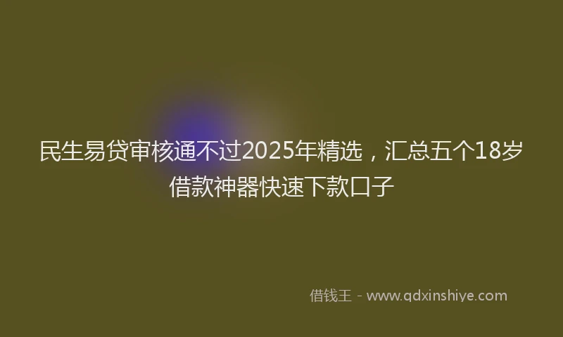 民生易贷审核通不过2025年精选，汇总五个18岁借款神器快速下款口子