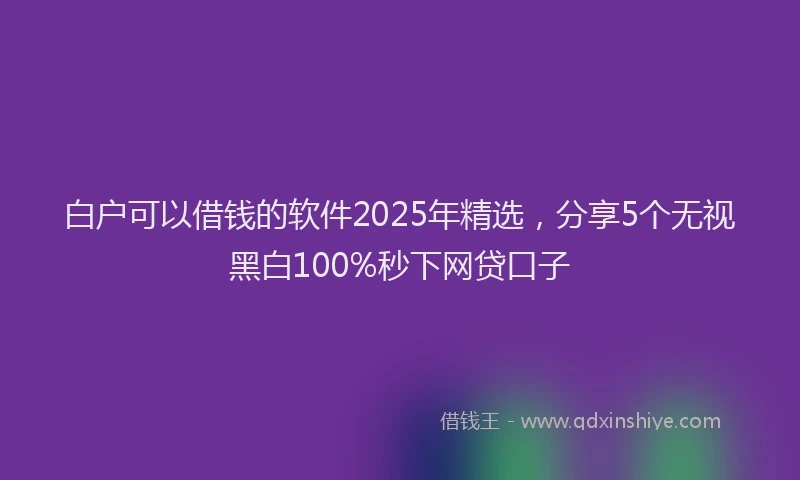 白户可以借钱的软件2025年精选，分享5个无视黑白100%秒下网贷口子