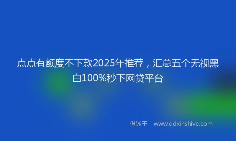 点点有额度不下款2025年推荐，汇总五个无视黑白100%秒下网贷平台