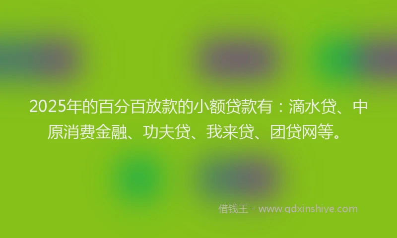 2025年的百分百放款的小额贷款有：滴水贷、中原消费金融、功夫贷、我来贷、团贷网等。