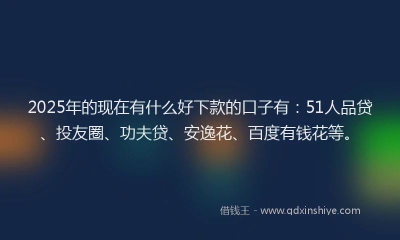 2025年的现在有什么好下款的口子有：51人品贷、投友圈、功夫贷、安逸花、百度有钱花等。
