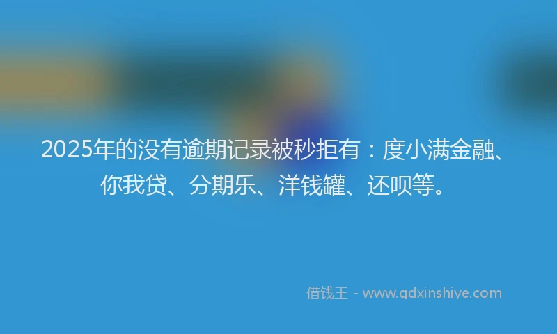 2025年的没有逾期记录被秒拒有：度小满金融、你我贷、分期乐、洋钱罐、还呗等。