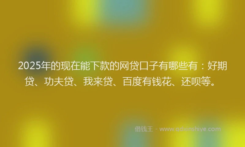 2025年的现在能下款的网贷口子有哪些有：好期贷、功夫贷、我来贷、百度有钱花、还呗等。
