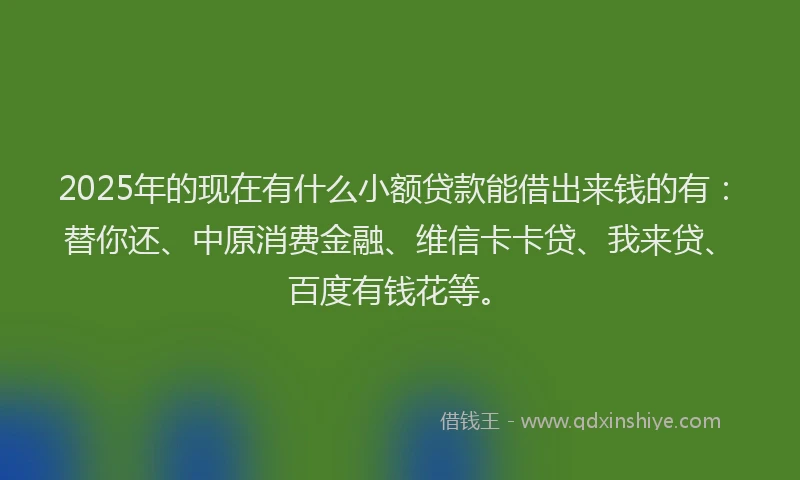 2025年的现在有什么小额贷款能借出来钱的有：替你还、中原消费金融、维信卡卡贷、我来贷、百度有钱花等。
