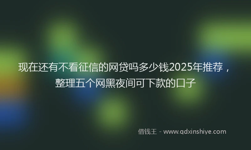 现在还有不看征信的网贷吗多少钱2025年推荐，整理五个网黑夜间可下款的口子