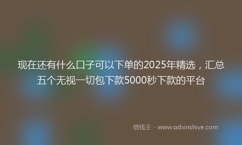 现在还有什么口子可以下单的2025年精选，汇总五个无视一切包下款5000秒下款的平台