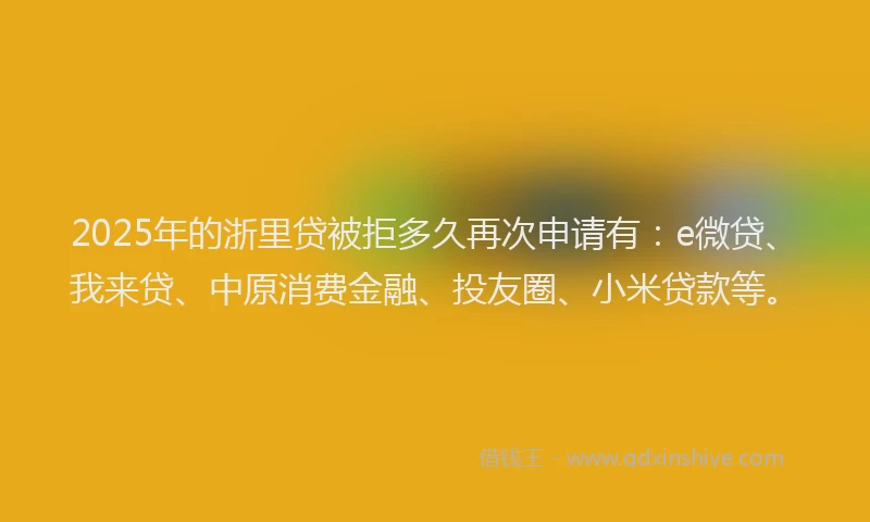 2025年的浙里贷被拒多久再次申请有：e微贷、我来贷、中原消费金融、投友圈、小米贷款等。