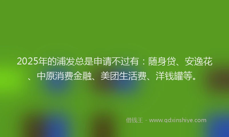 2025年的浦发总是申请不过有：随身贷、安逸花、中原消费金融、美团生活费、洋钱罐等。