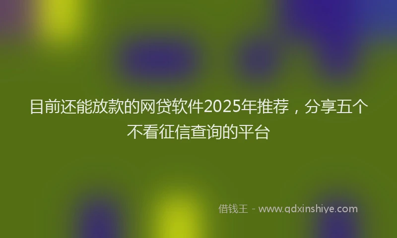 目前还能放款的网贷软件2025年推荐，分享五个不看征信查询的平台