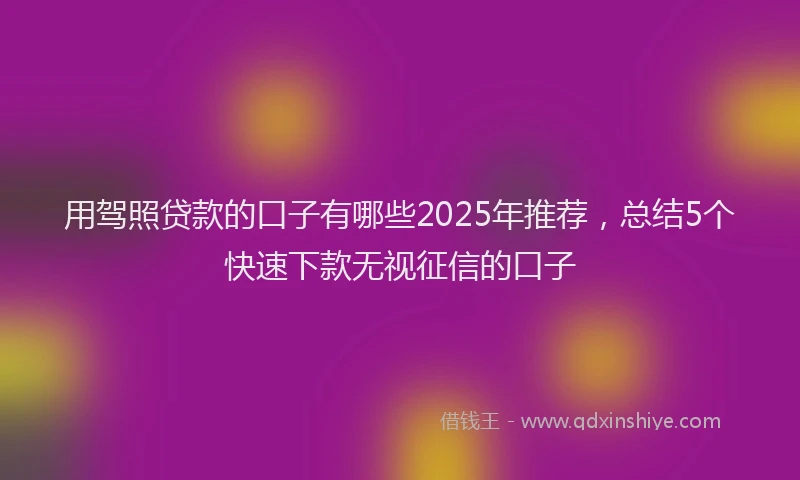 用驾照贷款的口子有哪些2025年推荐，总结5个快速下款无视征信的口子