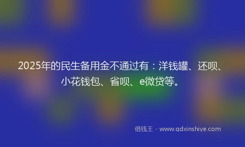 2025年的民生备用金不通过有：洋钱罐、还呗、小花钱包、省呗、e微贷等。