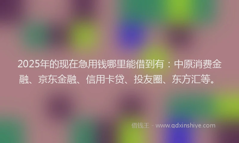 2025年的现在急用钱哪里能借到有：中原消费金融、京东金融、信用卡贷、投友圈、东方汇等。
