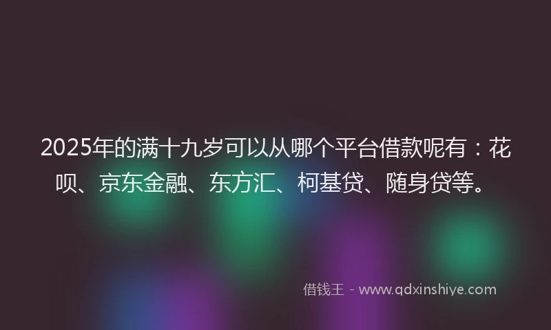 2025年的满十九岁可以从哪个平台借款呢有：花呗、京东金融、东方汇、柯基贷、随身贷等。