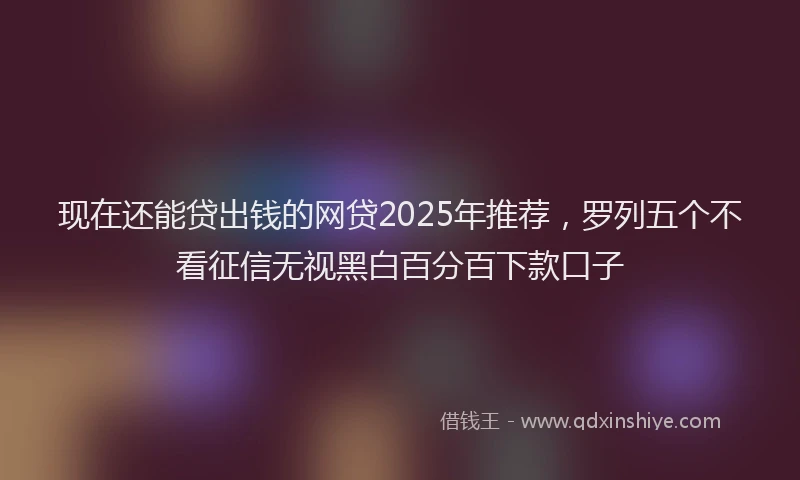现在还能贷出钱的网贷2025年推荐，罗列五个不看征信无视黑白百分百下款口子