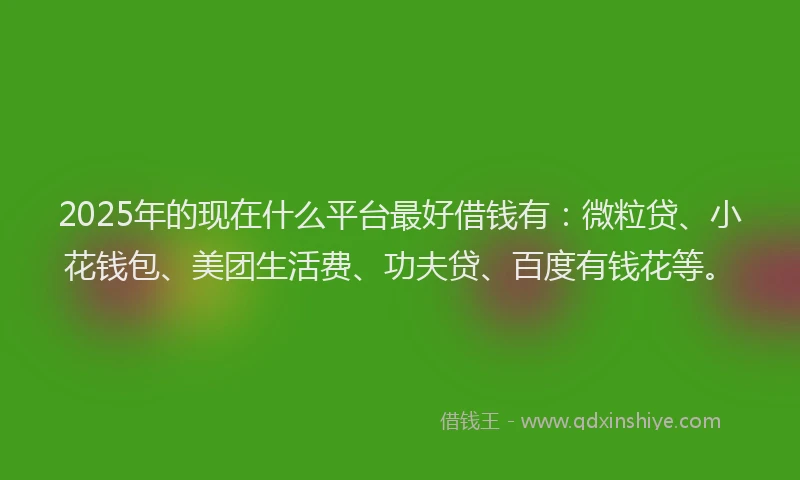 2025年的现在什么平台最好借钱有：微粒贷、小花钱包、美团生活费、功夫贷、百度有钱花等。