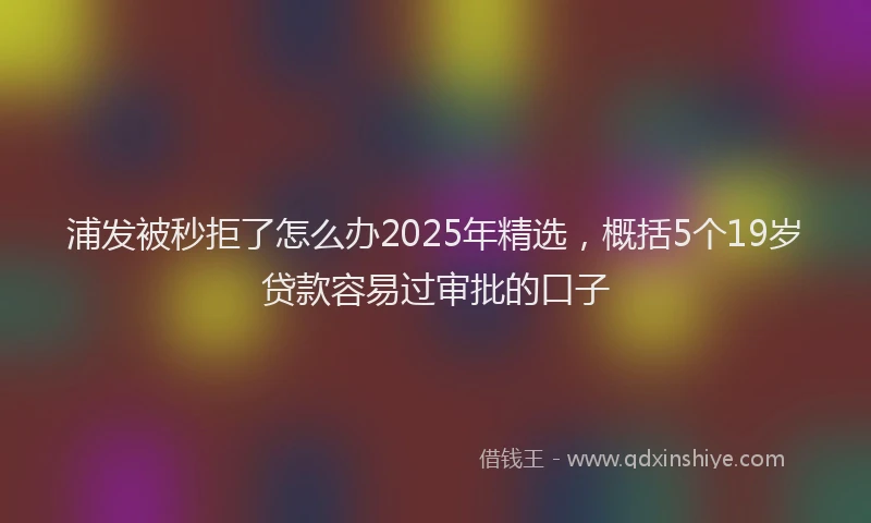浦发被秒拒了怎么办2025年精选，概括5个19岁贷款容易过审批的口子