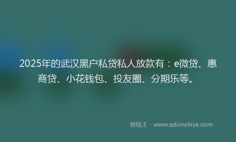 2025年的武汉黑户私贷私人放款有：e微贷、惠商贷、小花钱包、投友圈、分期乐等。