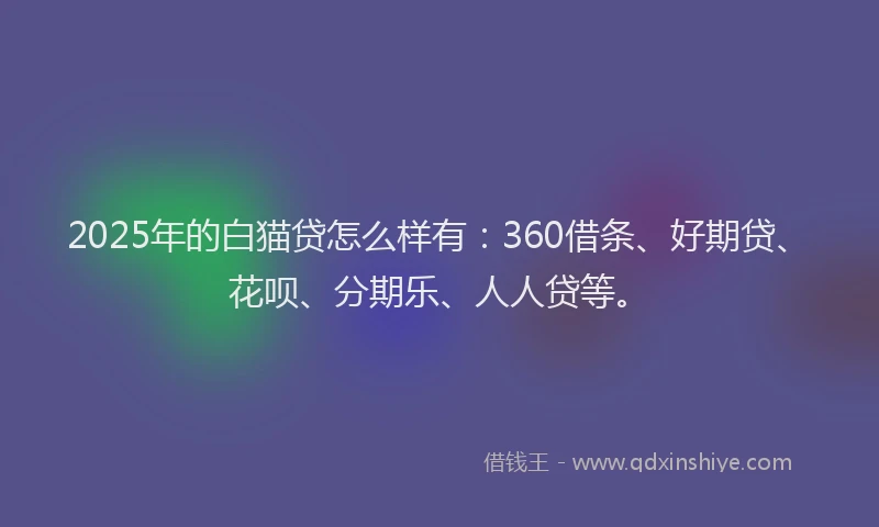 2025年的白猫贷怎么样有：360借条、好期贷、花呗、分期乐、人人贷等。