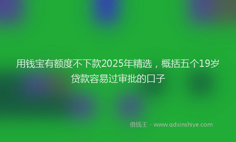 用钱宝有额度不下款2025年精选，概括五个19岁贷款容易过审批的口子