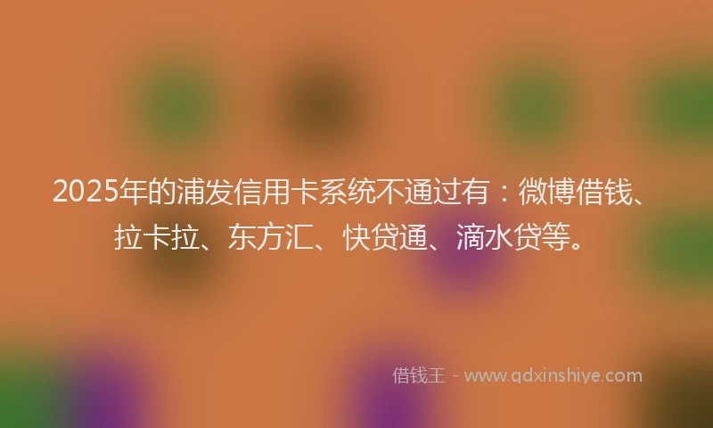 2025年的浦发信用卡系统不通过有：微博借钱、拉卡拉、东方汇、快贷通、滴水贷等。