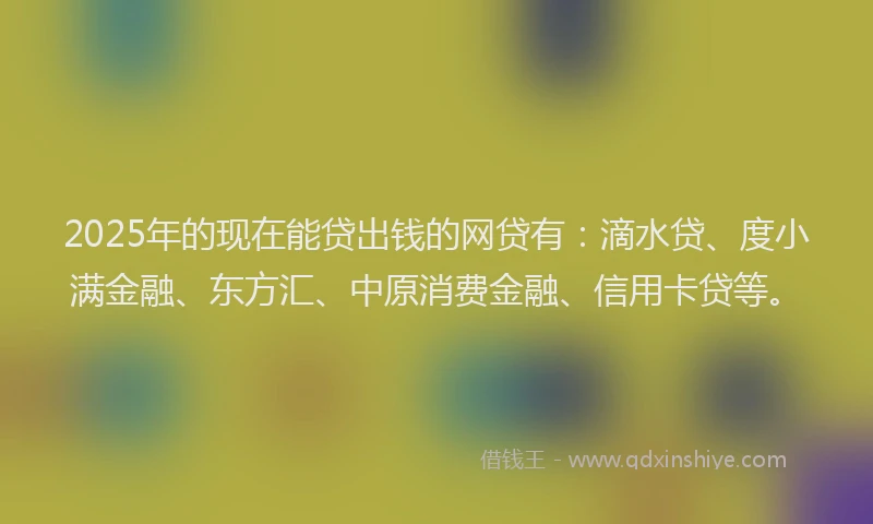 2025年的现在能贷出钱的网贷有：滴水贷、度小满金融、东方汇、中原消费金融、信用卡贷等。