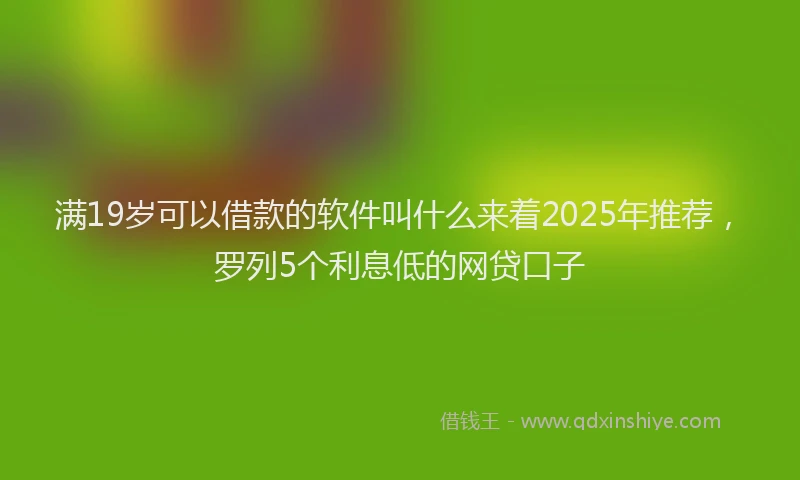 满19岁可以借款的软件叫什么来着2025年推荐，罗列5个利息低的网贷口子