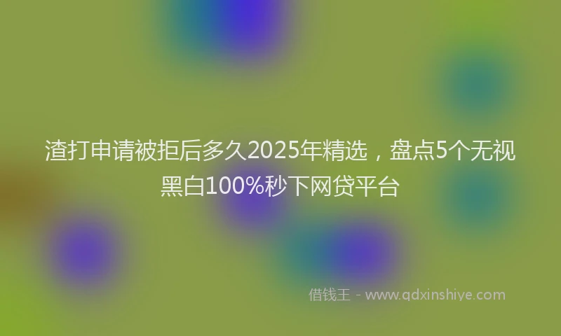 渣打申请被拒后多久2025年精选，盘点5个无视黑白100%秒下网贷平台