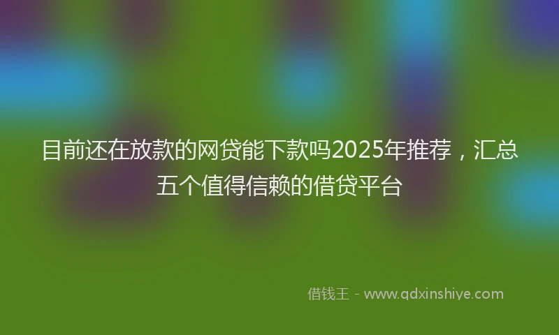 目前还在放款的网贷能下款吗2025年推荐，汇总五个值得信赖的借贷平台