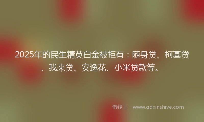 2025年的民生精英白金被拒有：随身贷、柯基贷、我来贷、安逸花、小米贷款等。