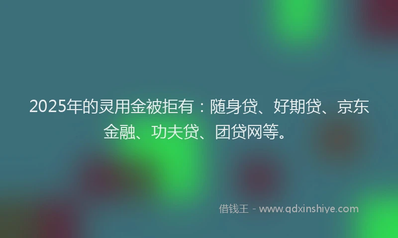 2025年的灵用金被拒有：随身贷、好期贷、京东金融、功夫贷、团贷网等。