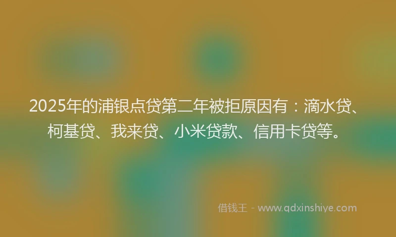 2025年的浦银点贷第二年被拒原因有：滴水贷、柯基贷、我来贷、小米贷款、信用卡贷等。