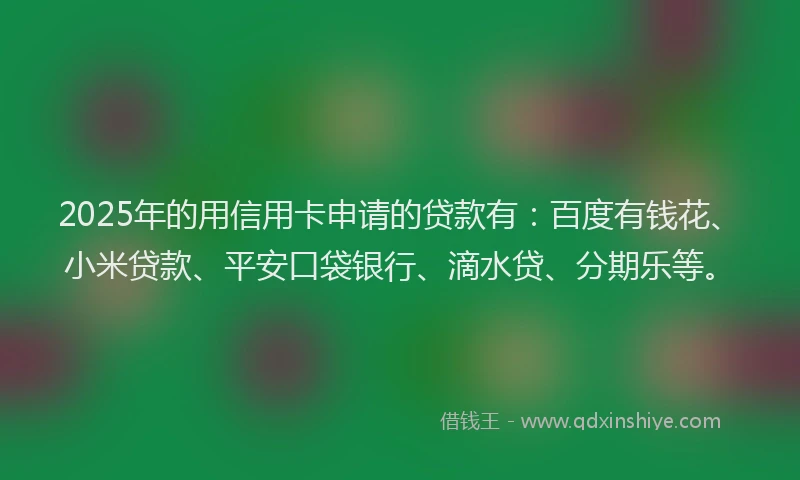 2025年的用信用卡申请的贷款有：百度有钱花、小米贷款、平安口袋银行、滴水贷、分期乐等。