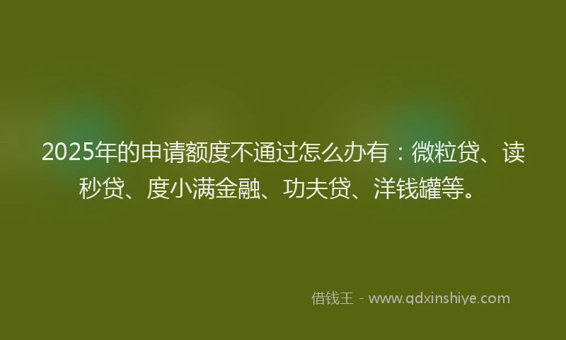 2025年的申请额度不通过怎么办有：微粒贷、读秒贷、度小满金融、功夫贷、洋钱罐等。