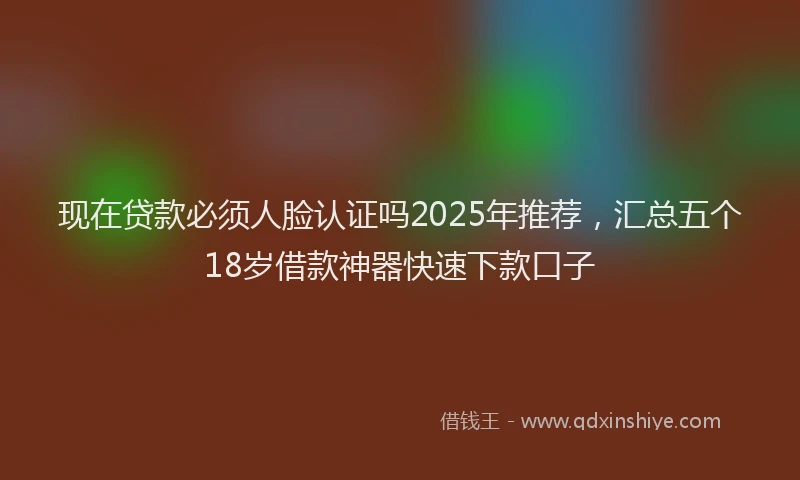 现在贷款必须人脸认证吗2025年推荐，汇总五个18岁借款神器快速下款口子