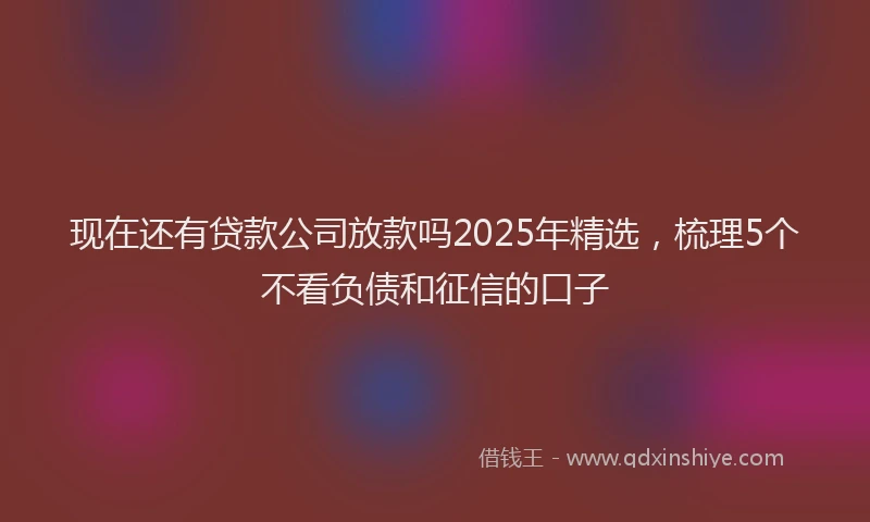 现在还有贷款公司放款吗2025年精选，梳理5个不看负债和征信的口子