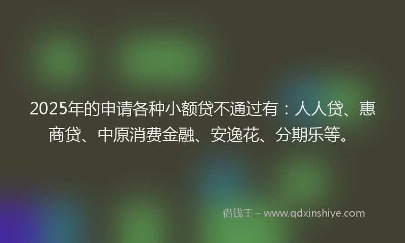 2025年的申请各种小额贷不通过有：人人贷、惠商贷、中原消费金融、安逸花、分期乐等。