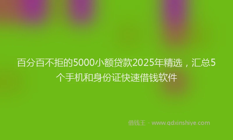 百分百不拒的5000小额贷款2025年精选，汇总5个手机和身份证快速借钱软件