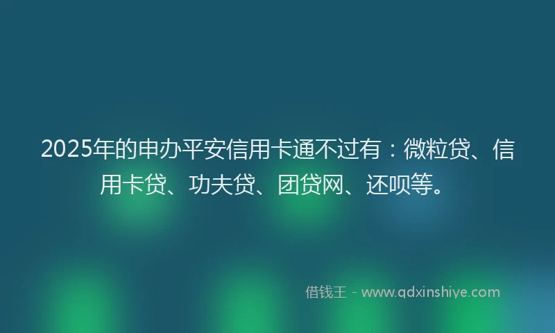 2025年的申办平安信用卡通不过有：微粒贷、信用卡贷、功夫贷、团贷网、还呗等。
