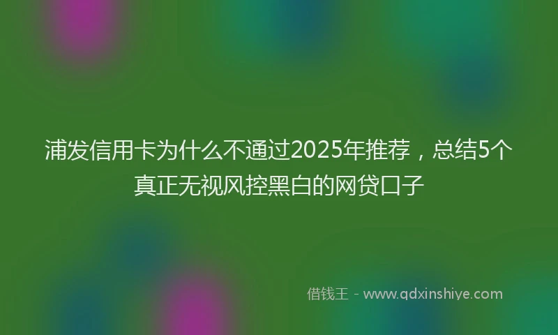 浦发信用卡为什么不通过2025年推荐，总结5个真正无视风控黑白的网贷口子