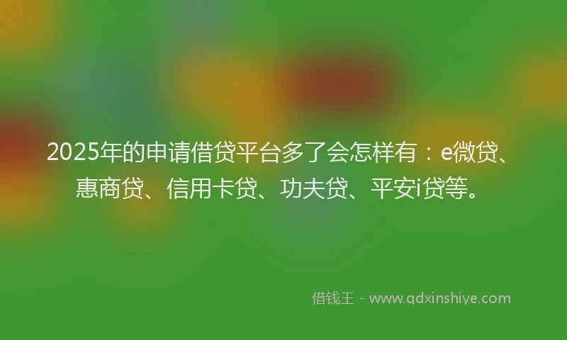 2025年的申请借贷平台多了会怎样有：e微贷、惠商贷、信用卡贷、功夫贷、平安i贷等。