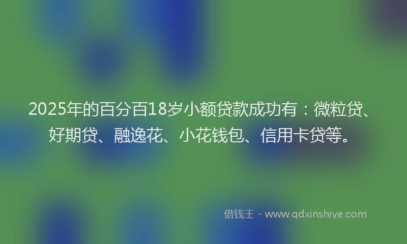 2025年的百分百18岁小额贷款成功有：微粒贷、好期贷、融逸花、小花钱包、信用卡贷等。