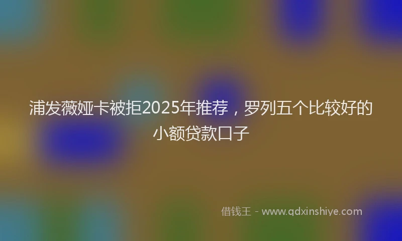 浦发薇娅卡被拒2025年推荐，罗列五个比较好的小额贷款口子