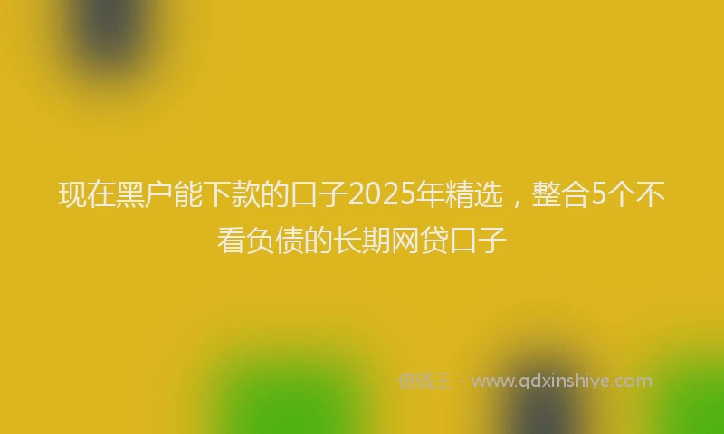 现在黑户能下款的口子2025年精选，整合5个不看负债的长期网贷口子
