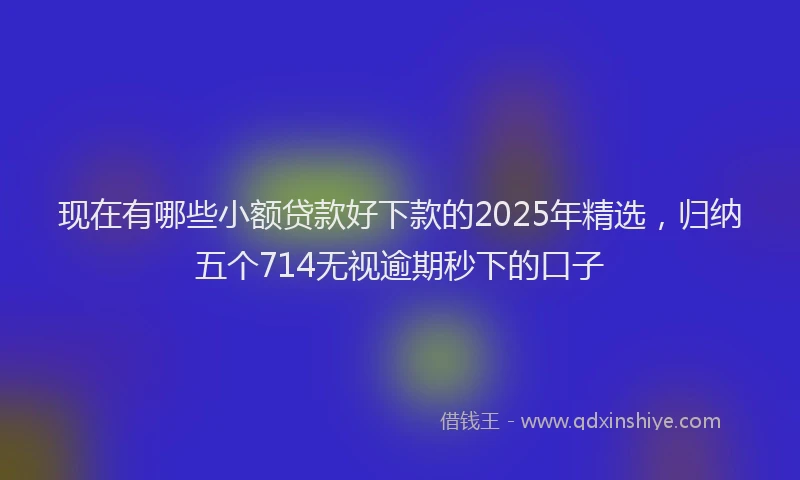 现在有哪些小额贷款好下款的2025年精选，归纳五个714无视逾期秒下的口子