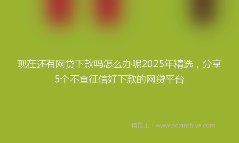 现在还有网贷下款吗怎么办呢2025年精选，分享5个不查征信好下款的网贷平台