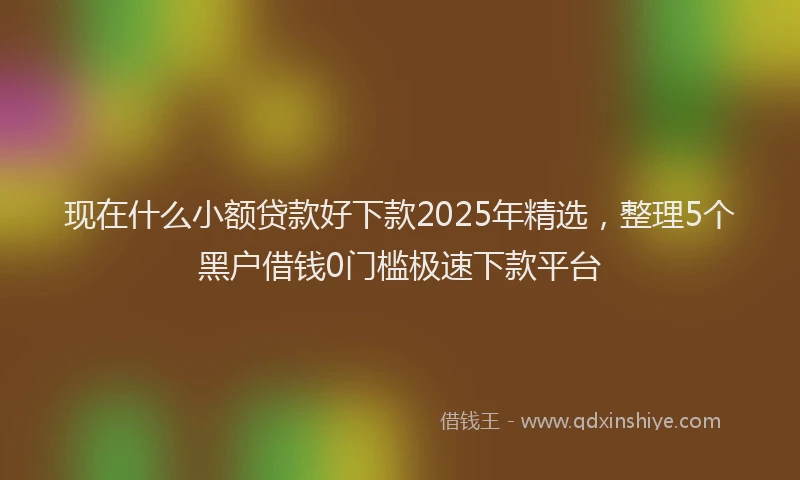 现在什么小额贷款好下款2025年精选，整理5个黑户借钱0门槛极速下款平台