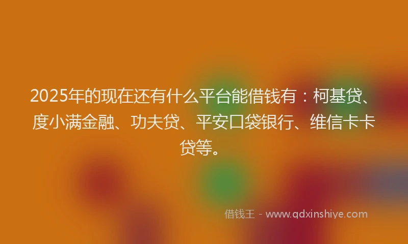 2025年的现在还有什么平台能借钱有：柯基贷、度小满金融、功夫贷、平安口袋银行、维信卡卡贷等。