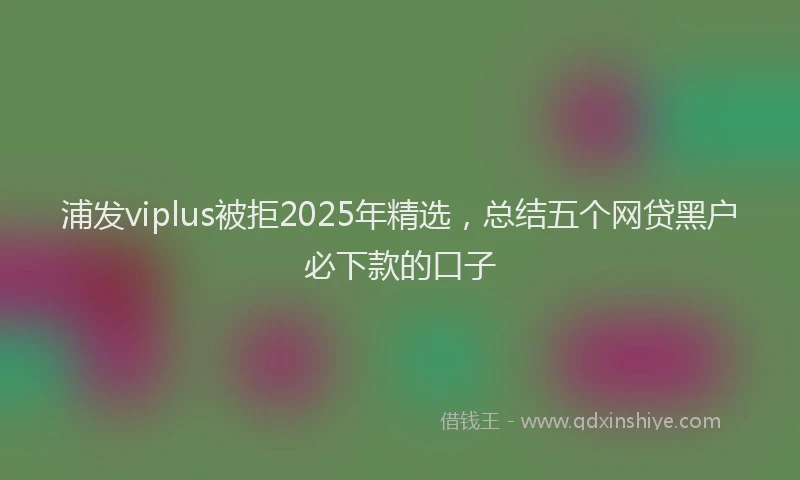 浦发viplus被拒2025年精选，总结五个网贷黑户必下款的口子